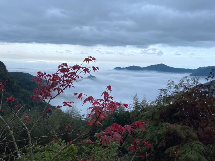 營地美麗的雲海