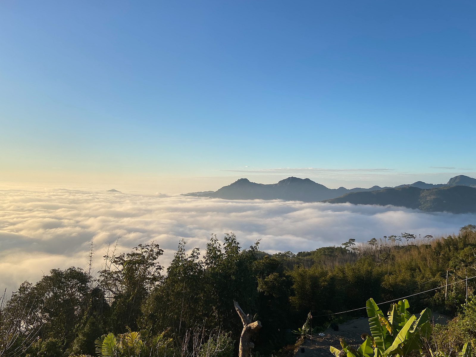 阿里山雲景露營區 環境照片