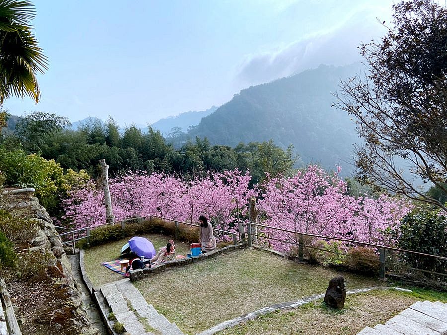 阿里山雲景露營區 環境照片